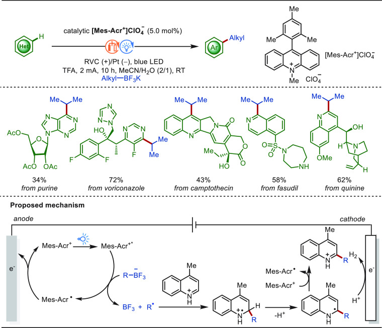 PMC10571048 – sch92
