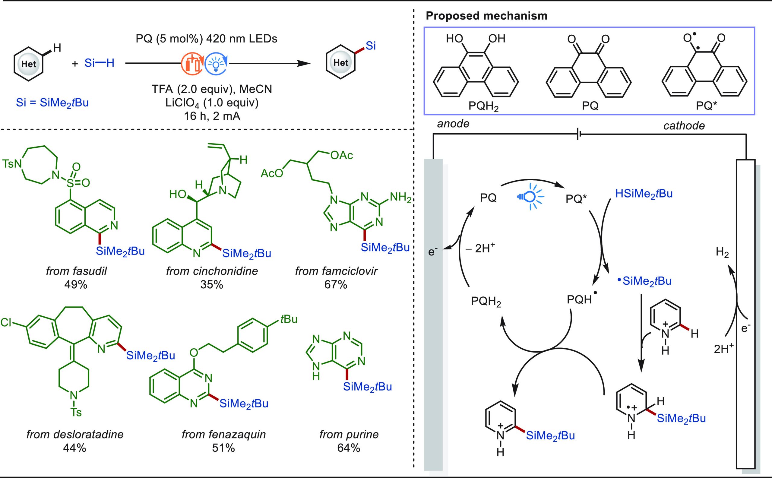 PMC10571048 – sch96
