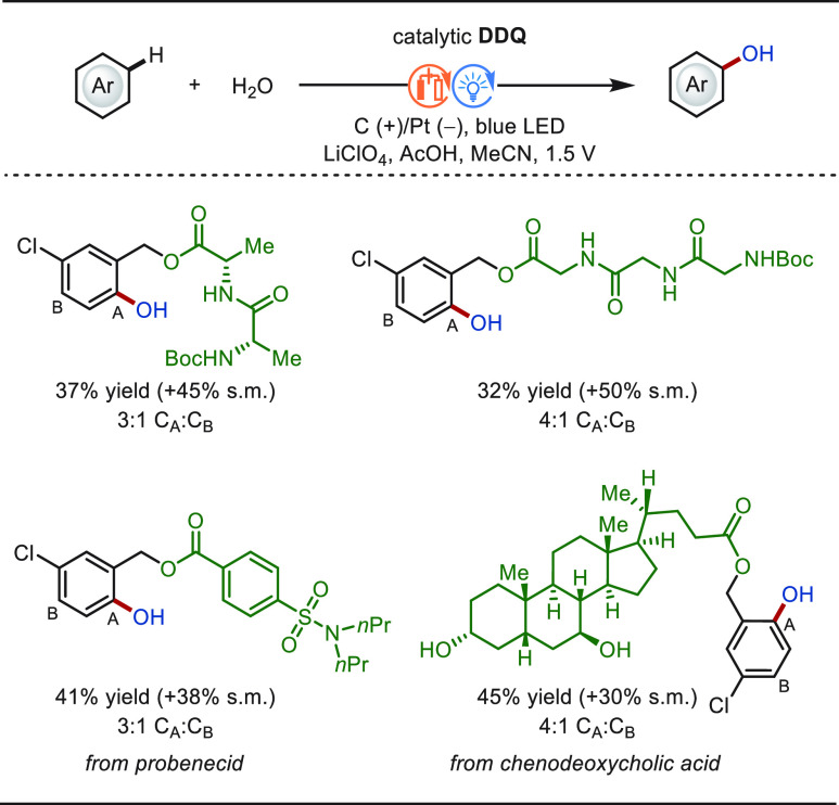 PMC10571048 – sch97