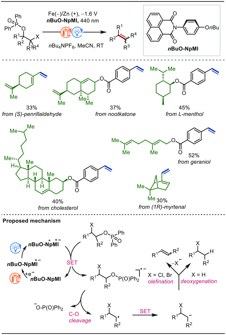 PMC10571048 – sch105