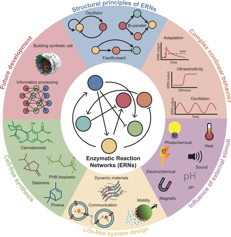 PMC10941194 – fig1