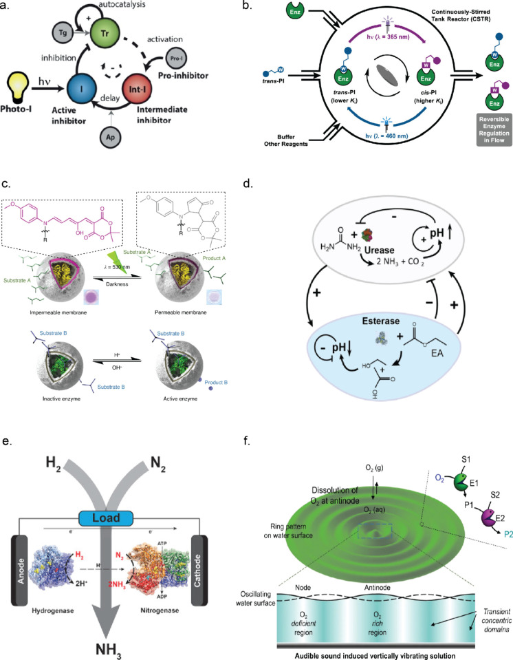 PMC10941194 – fig4