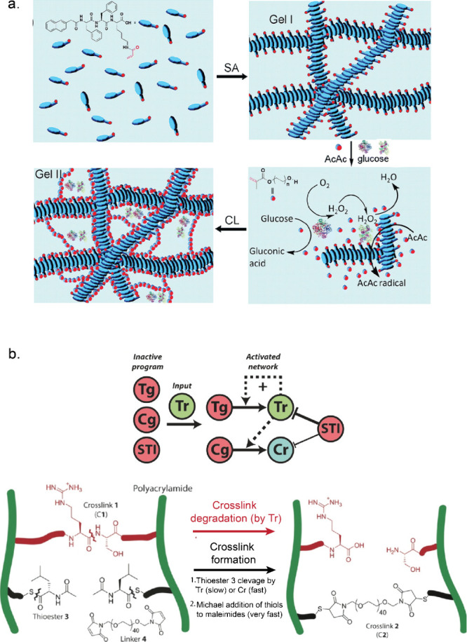 PMC10941194 – fig5
