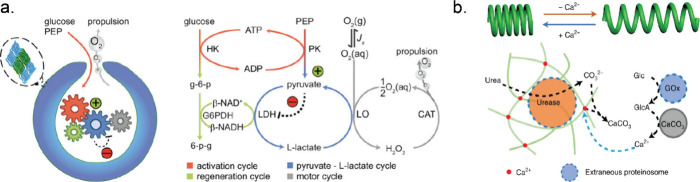 PMC10941194 – fig6