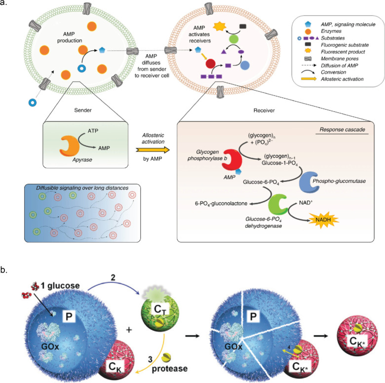 PMC10941194 – fig7