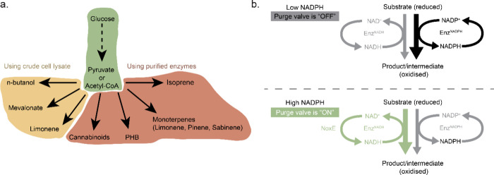 PMC10941194 – fig8