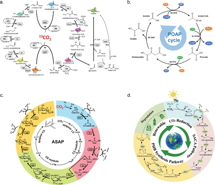 PMC10941194 – fig9