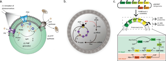 PMC10941194 – fig10