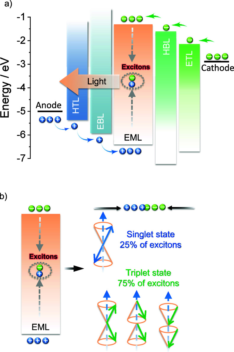 PMC12132800 – fig1