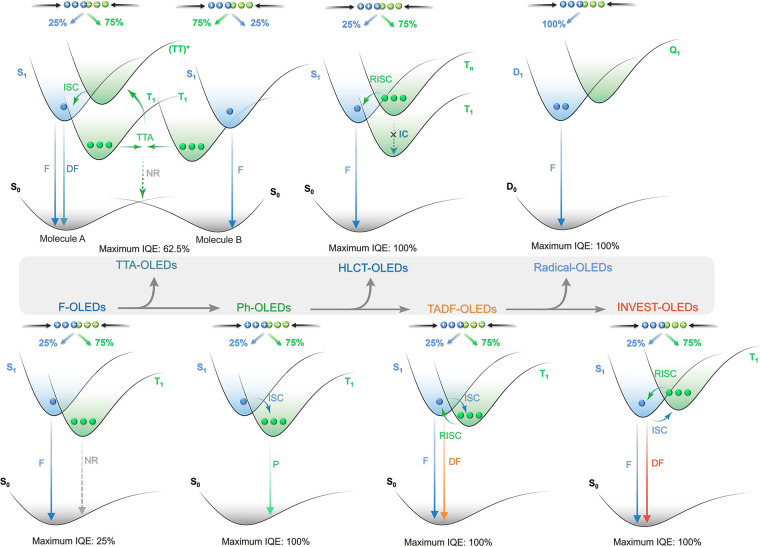PMC12132800 – fig3