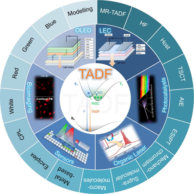 PMC12132800 – fig5