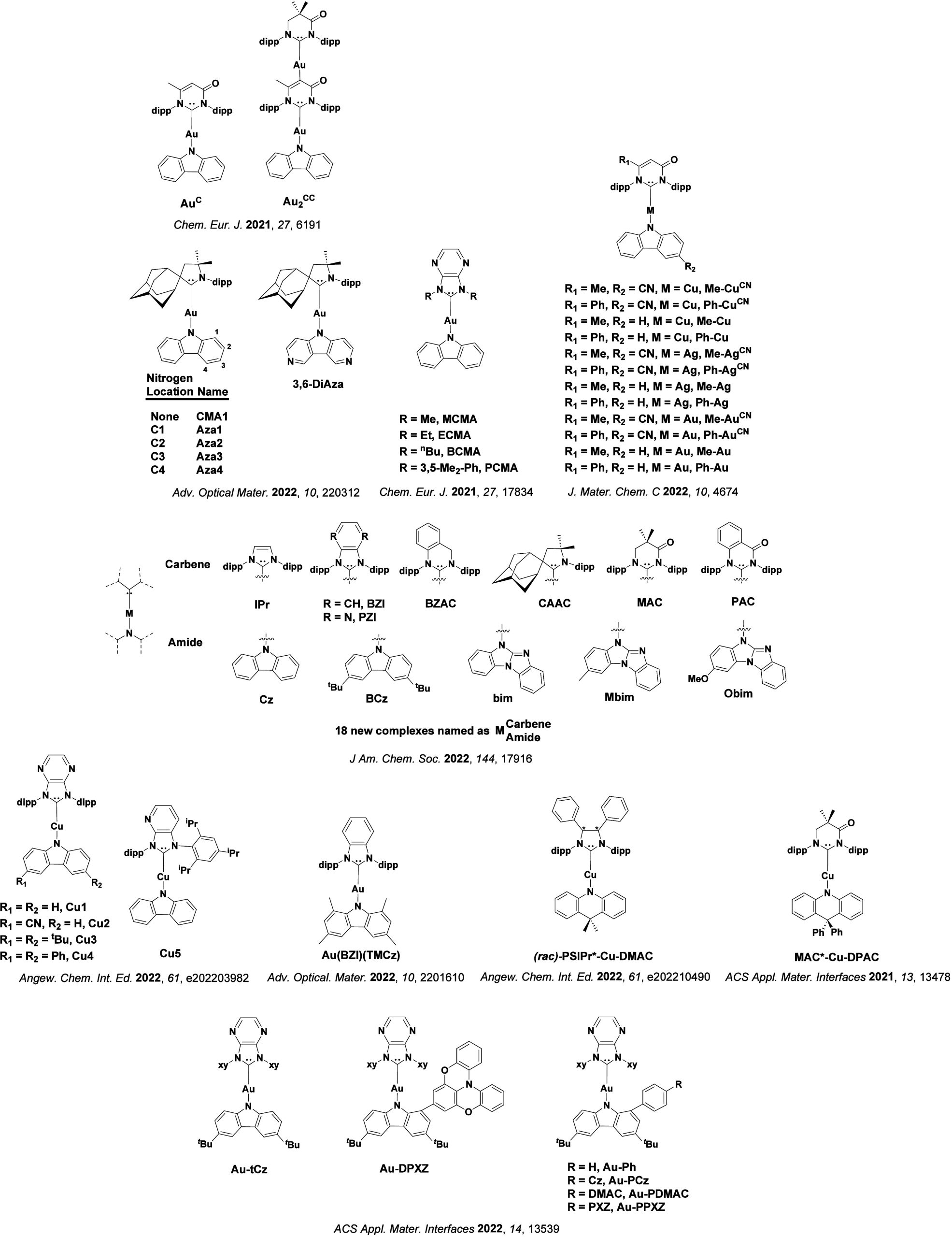 PMC12132800 – fig113