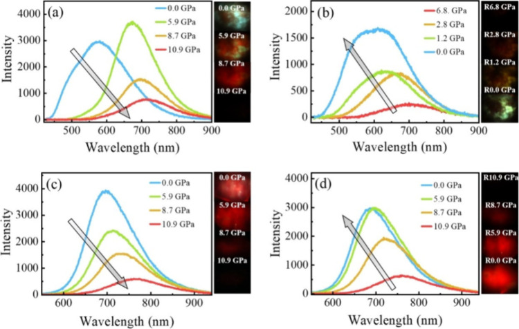 PMC12132800 – fig178