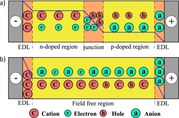 PMC12132800 – fig181