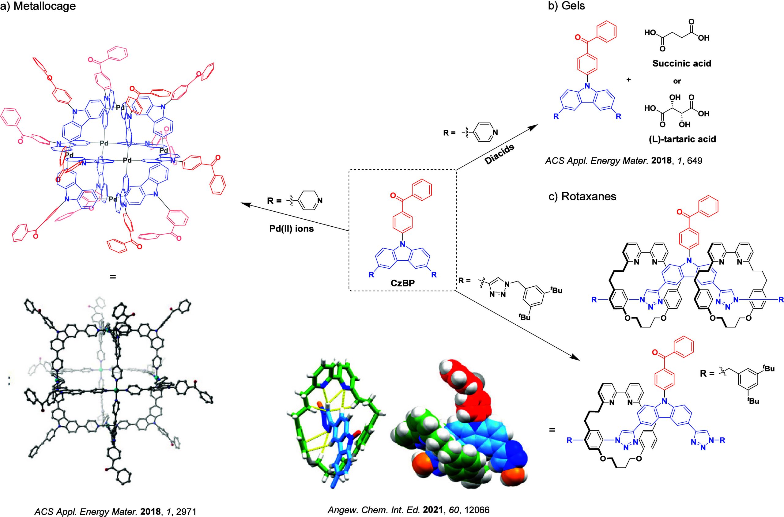 PMC12132800 – fig211