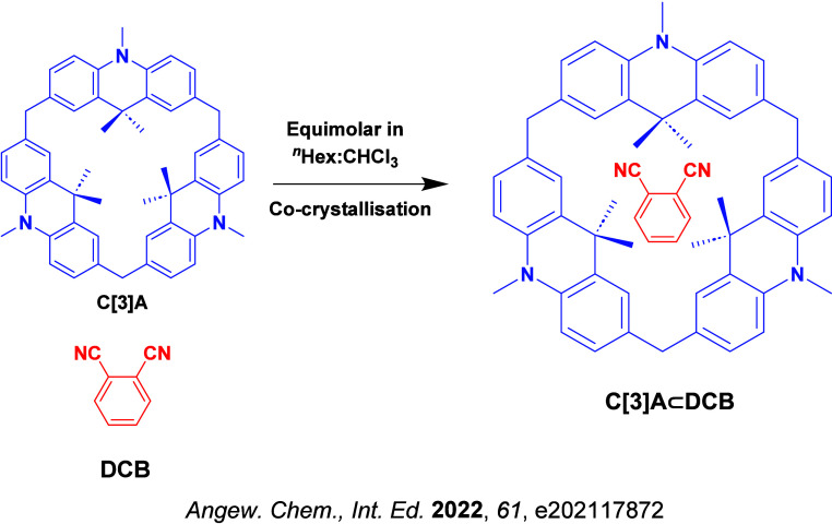 PMC12132800 – fig218