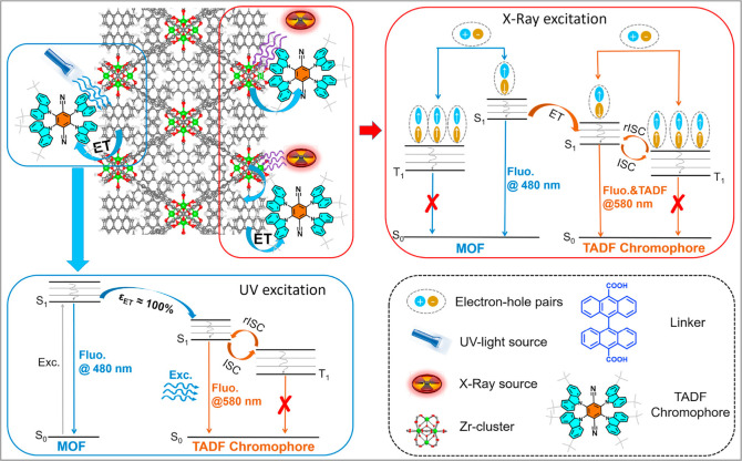 PMC12132800 – fig237