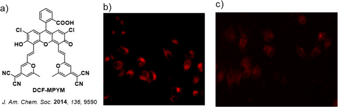 PMC12132800 – fig240