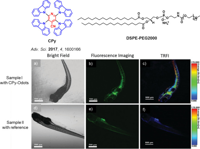 PMC12132800 – fig242