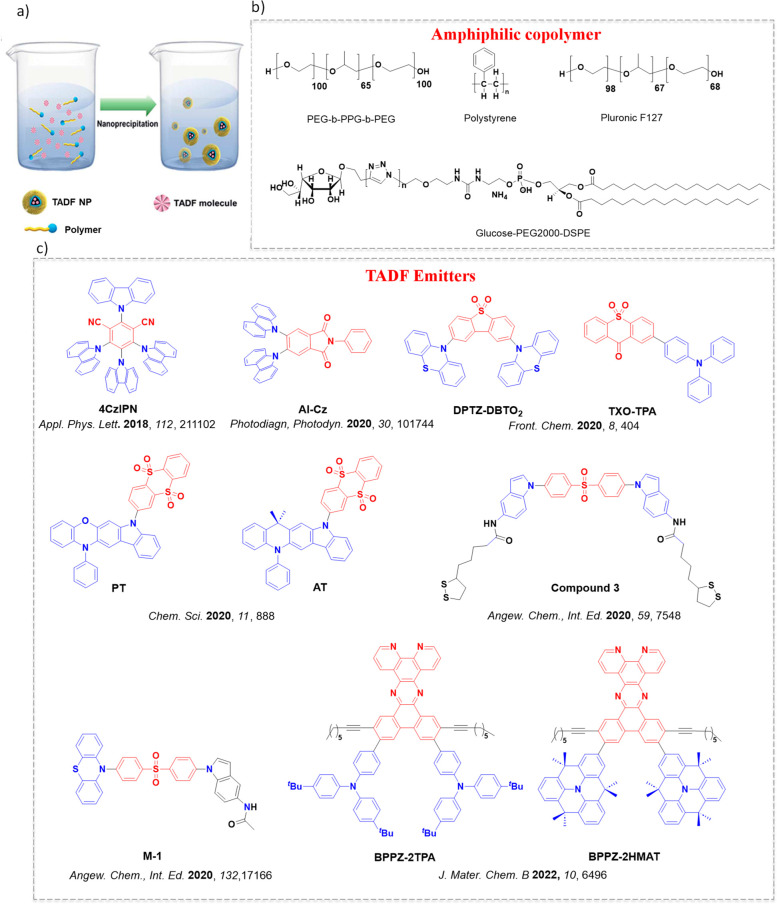 PMC12132800 – fig243