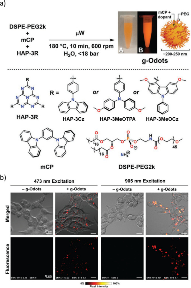 PMC12132800 – fig245