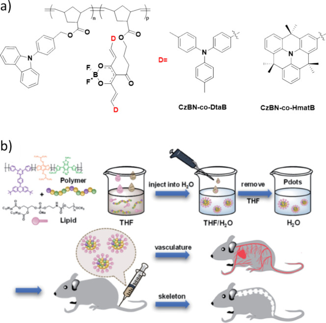 PMC12132800 – fig246