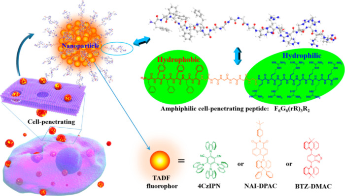 PMC12132800 – fig247