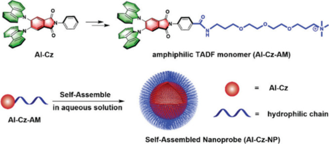 PMC12132800 – fig250