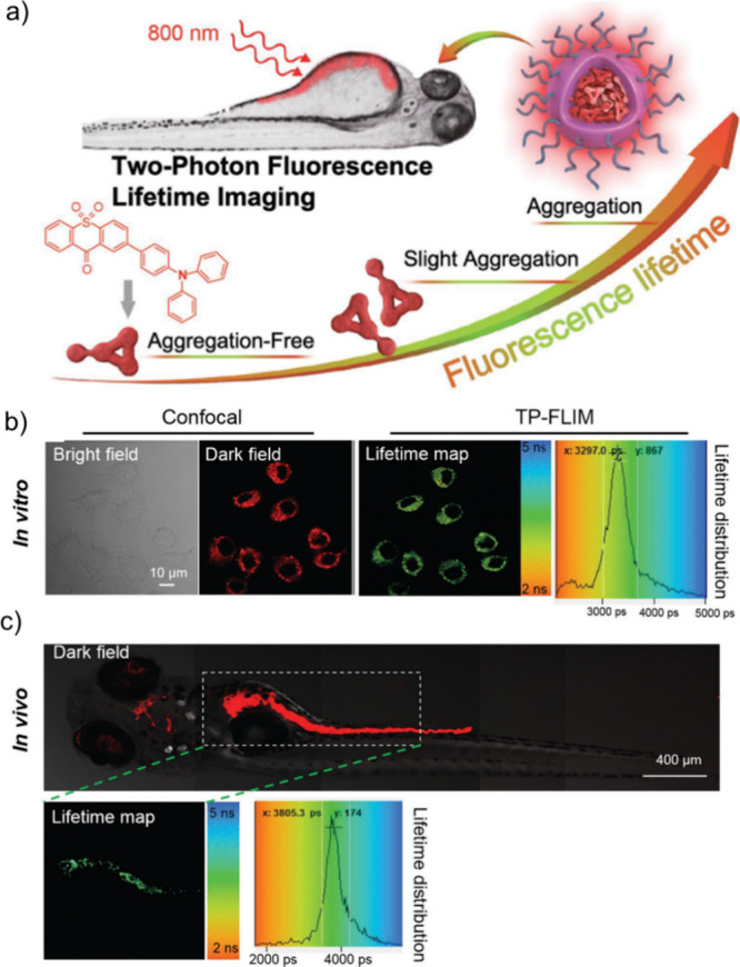 PMC12132800 – fig251