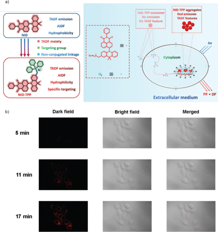 PMC12132800 – fig253