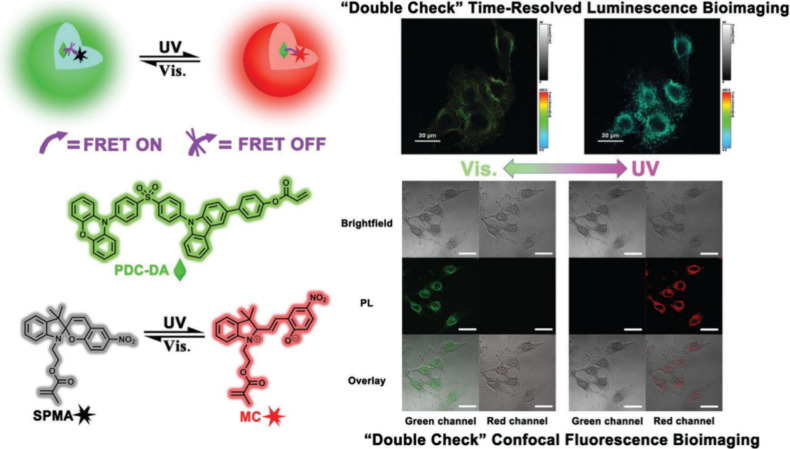 PMC12132800 – fig255
