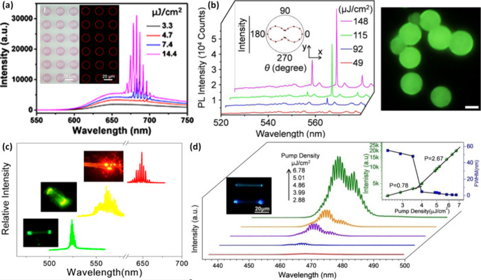 PMC12132800 – fig257