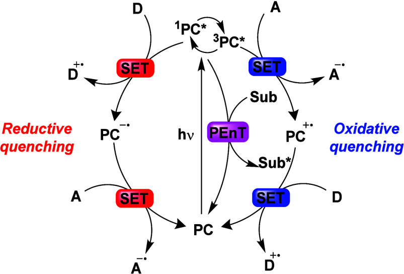 PMC12132800 – fig258