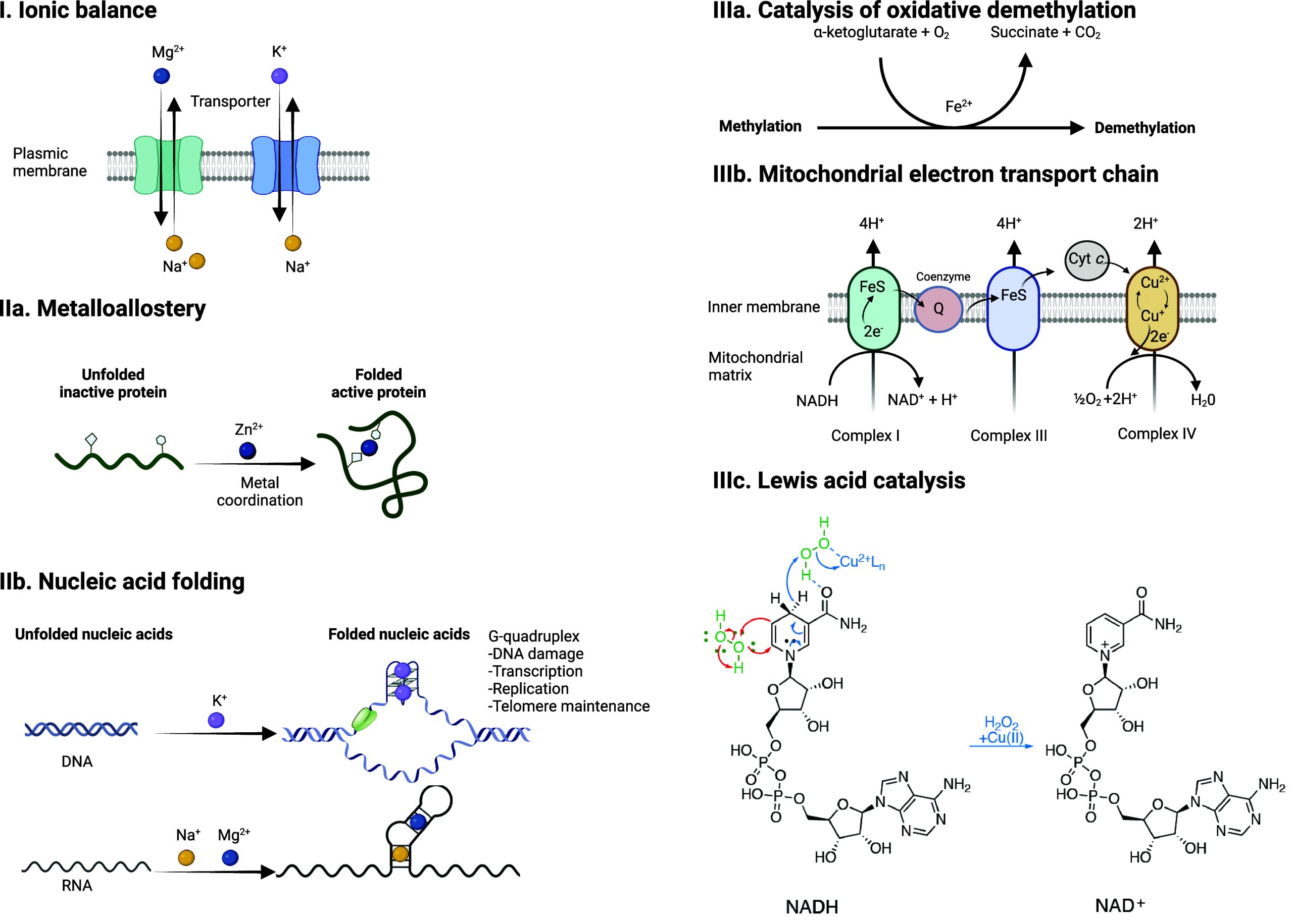 PMC11758815 – fig2