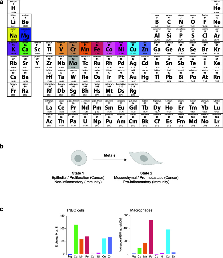 PMC11758815 – fig3