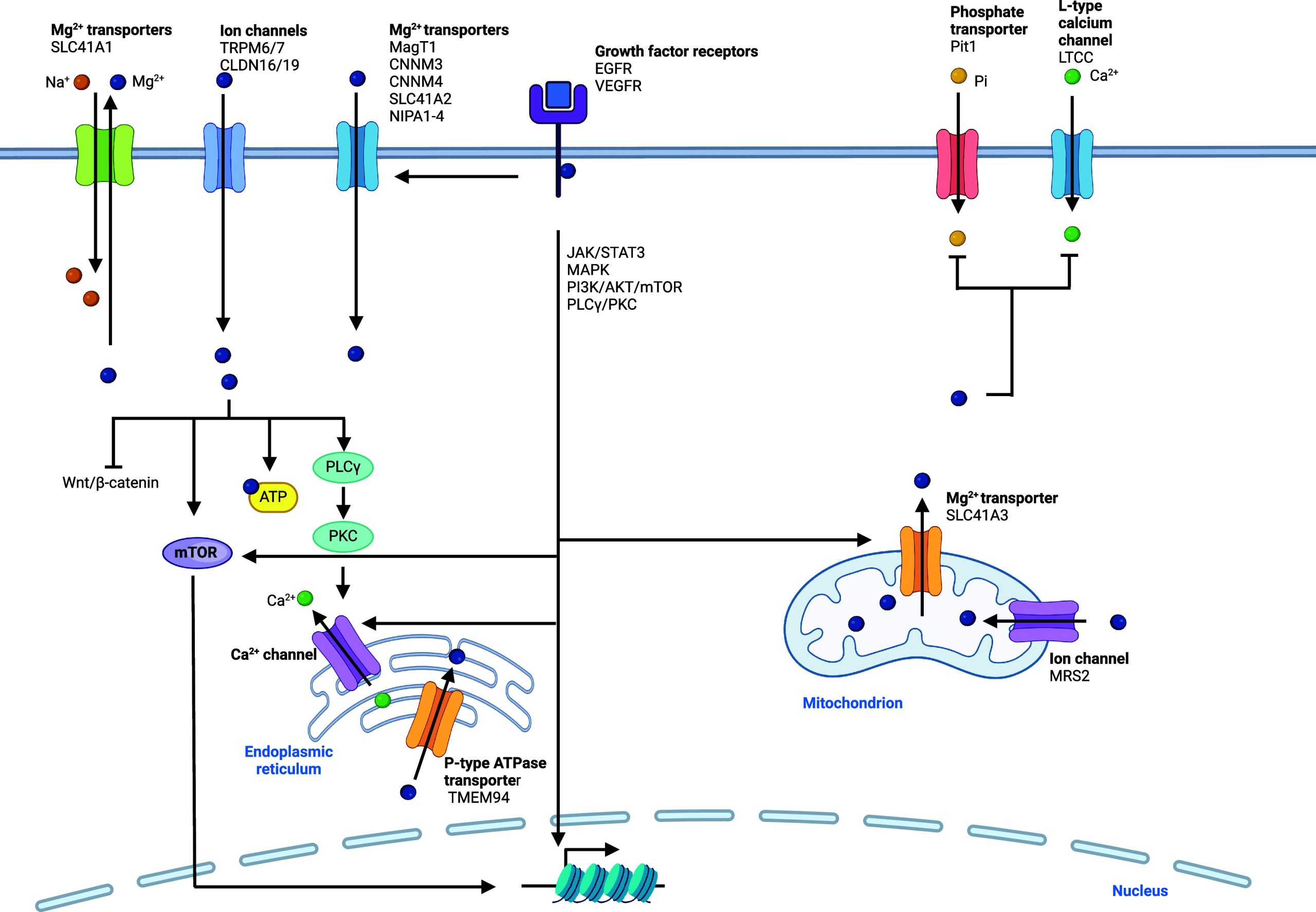 PMC11758815 – fig5