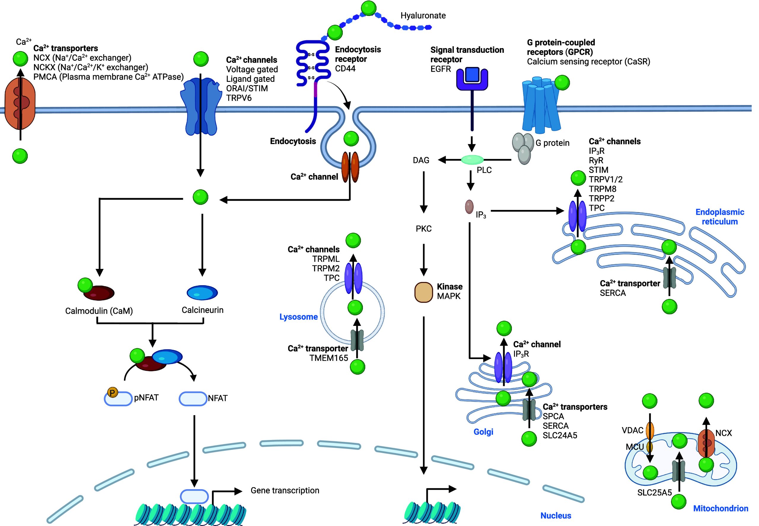 PMC11758815 – fig6