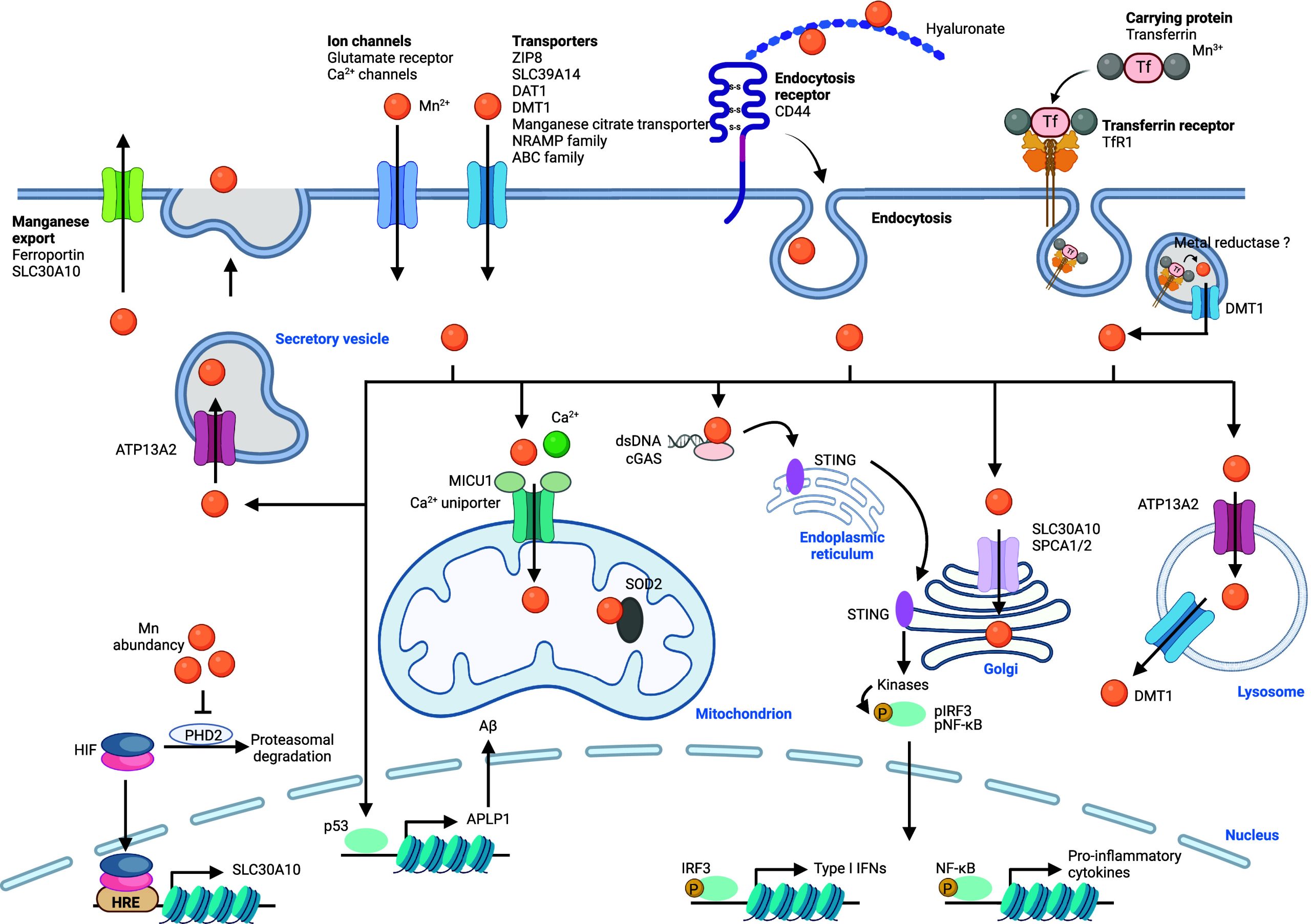 PMC11758815 – fig7