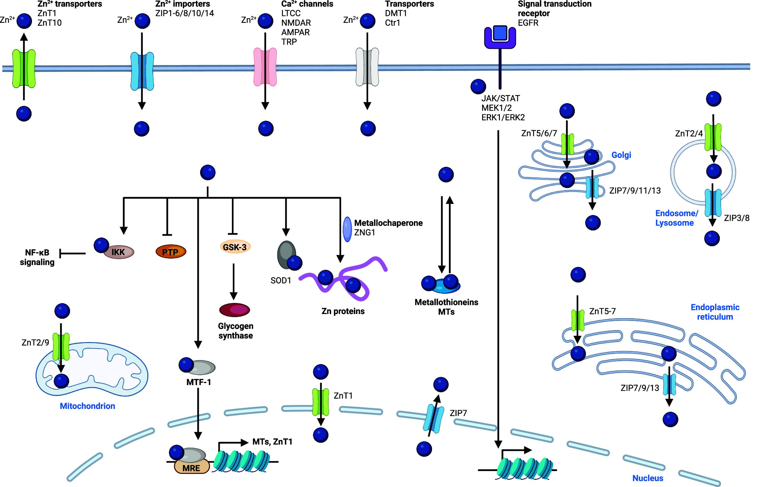 PMC11758815 – fig10