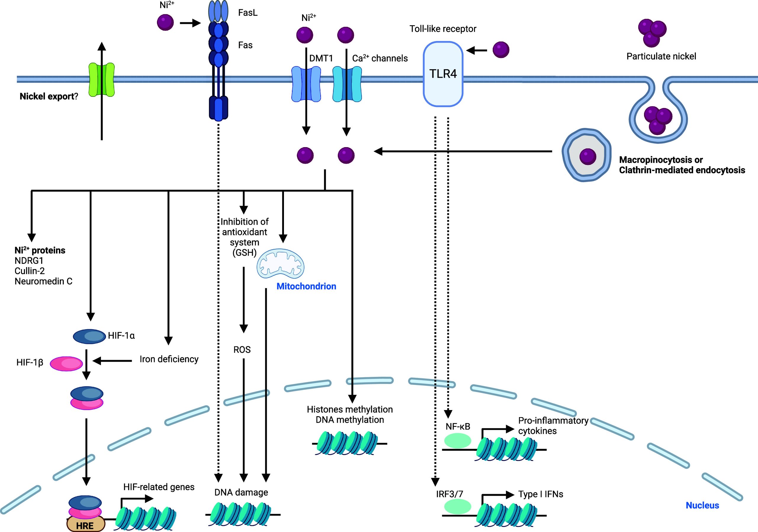 PMC11758815 – fig12