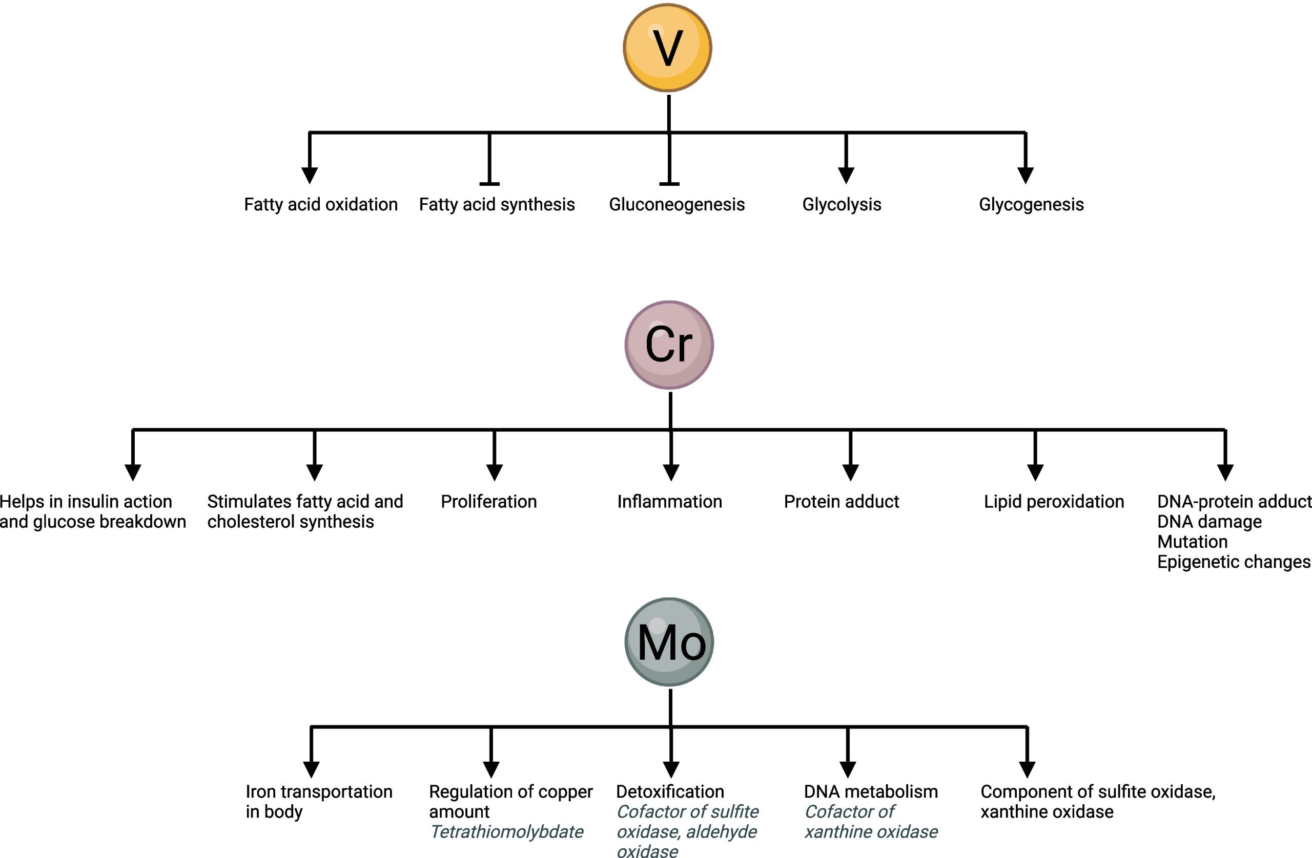 PMC11758815 – fig13