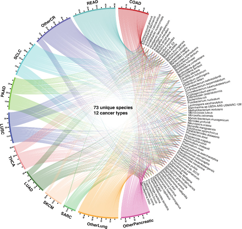 PMC10840455 – fig2