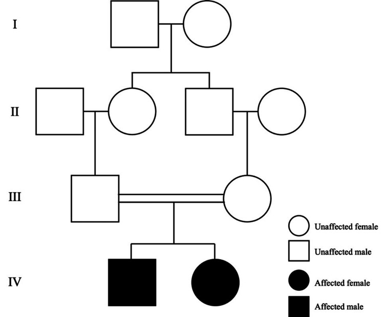 PMC10414798 – FIG1