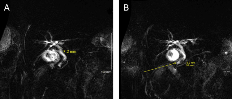 PMC10421727 – FIG1