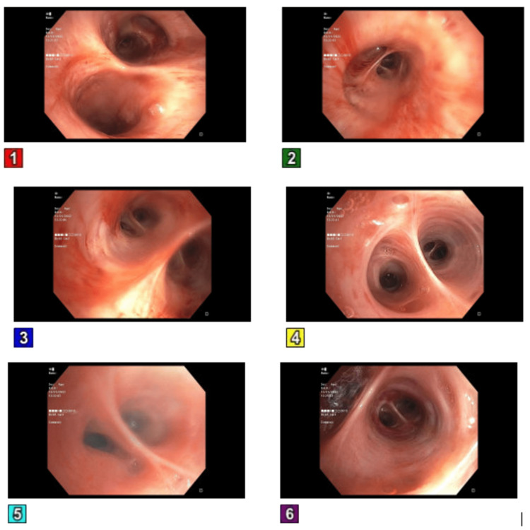 PMC10423625 – FIG3