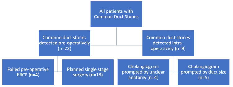 PMC10475270 – FIG1