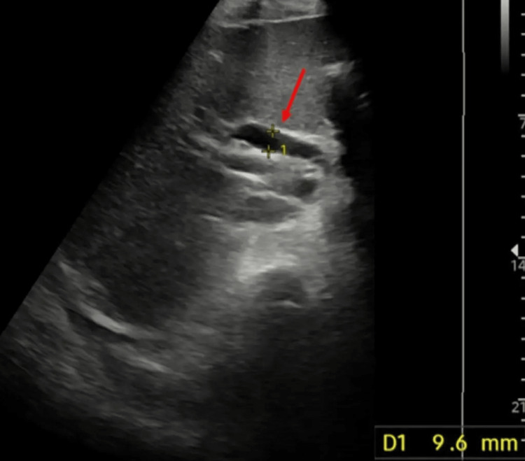 PMC10510569 – FIG1
