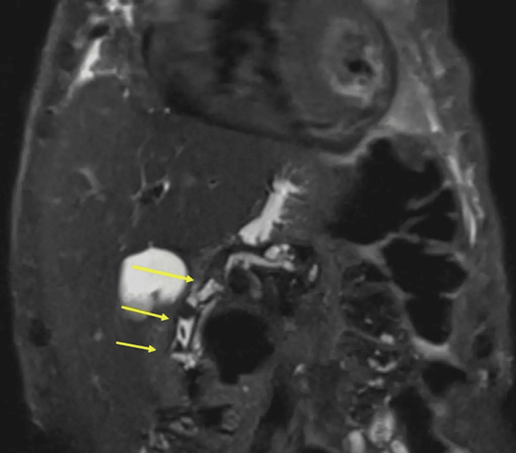 PMC10510569 – FIG2