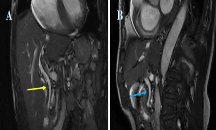 PMC10510569 – FIG3