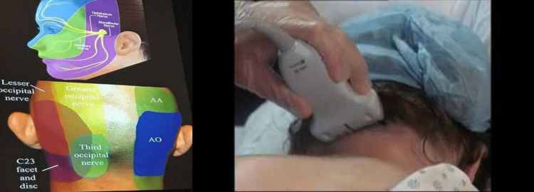 PMC10552787 – FIG1